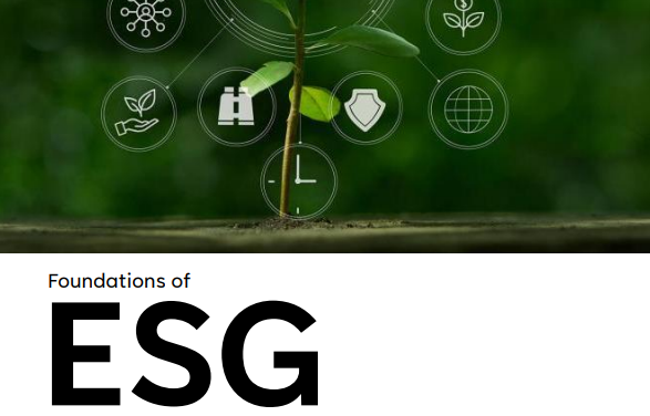 Foundations of ESG — Instructional Strategy & Course Design